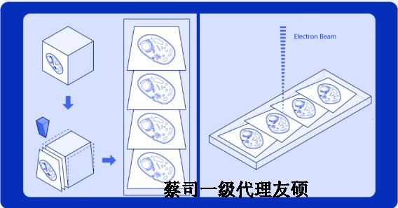 铜川蔡司铜川扫描电镜